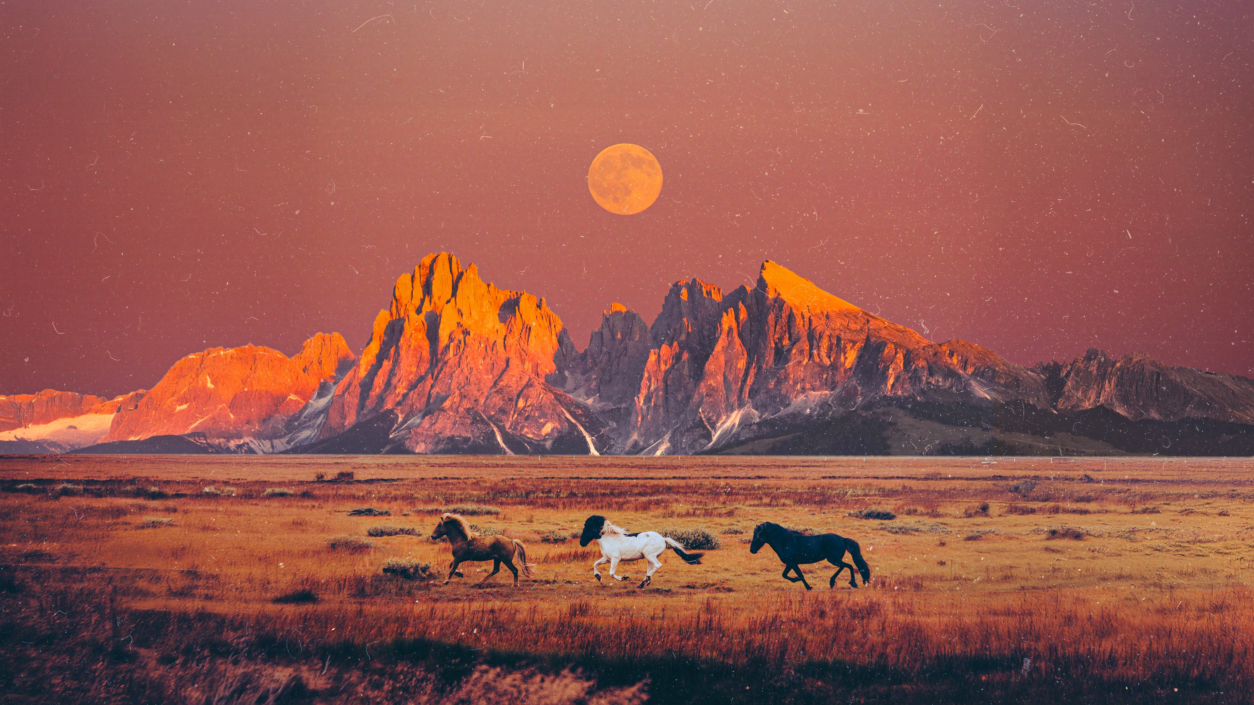 Wild Horses, 2024 Print
