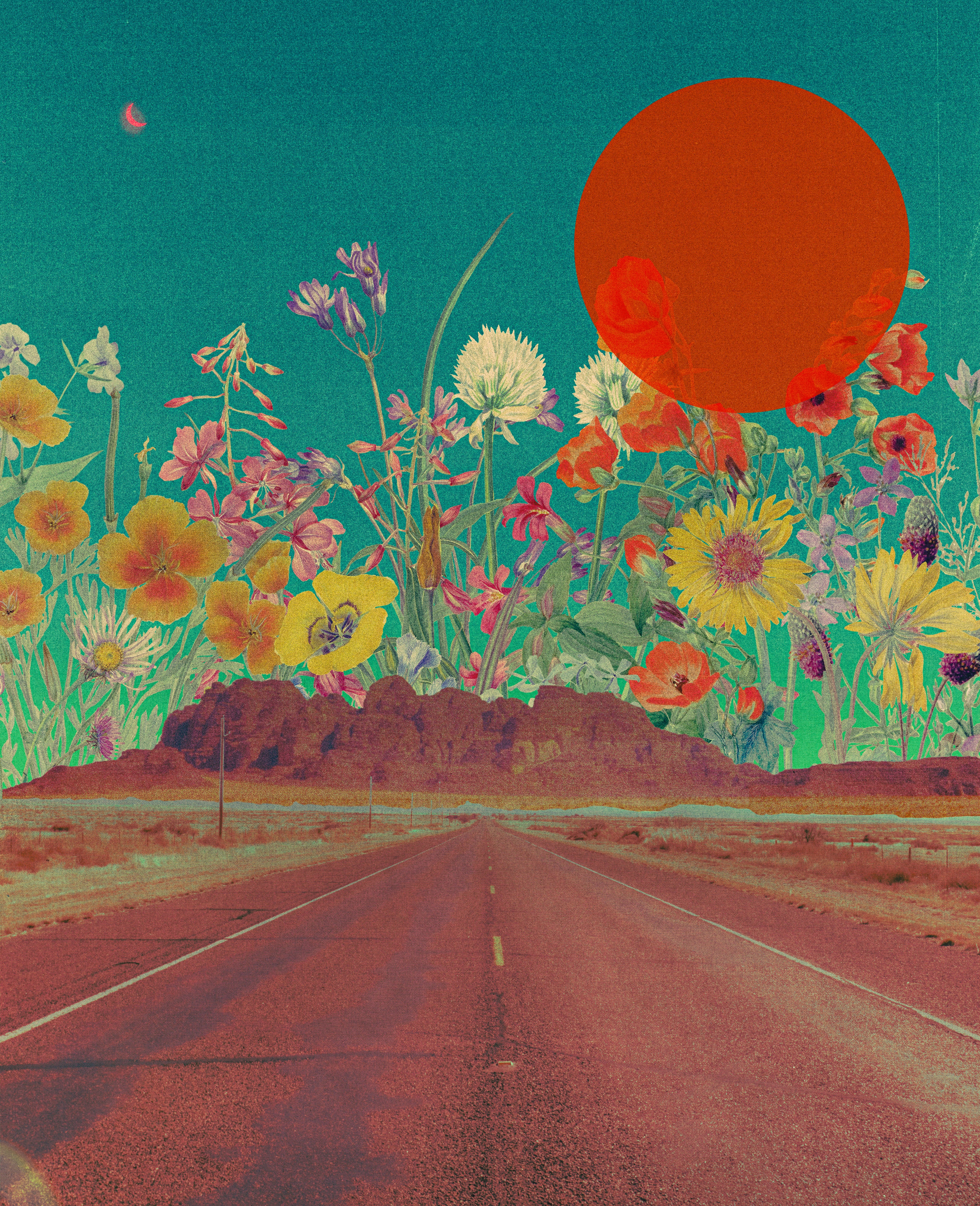 Constant Amazement, 2026 Print