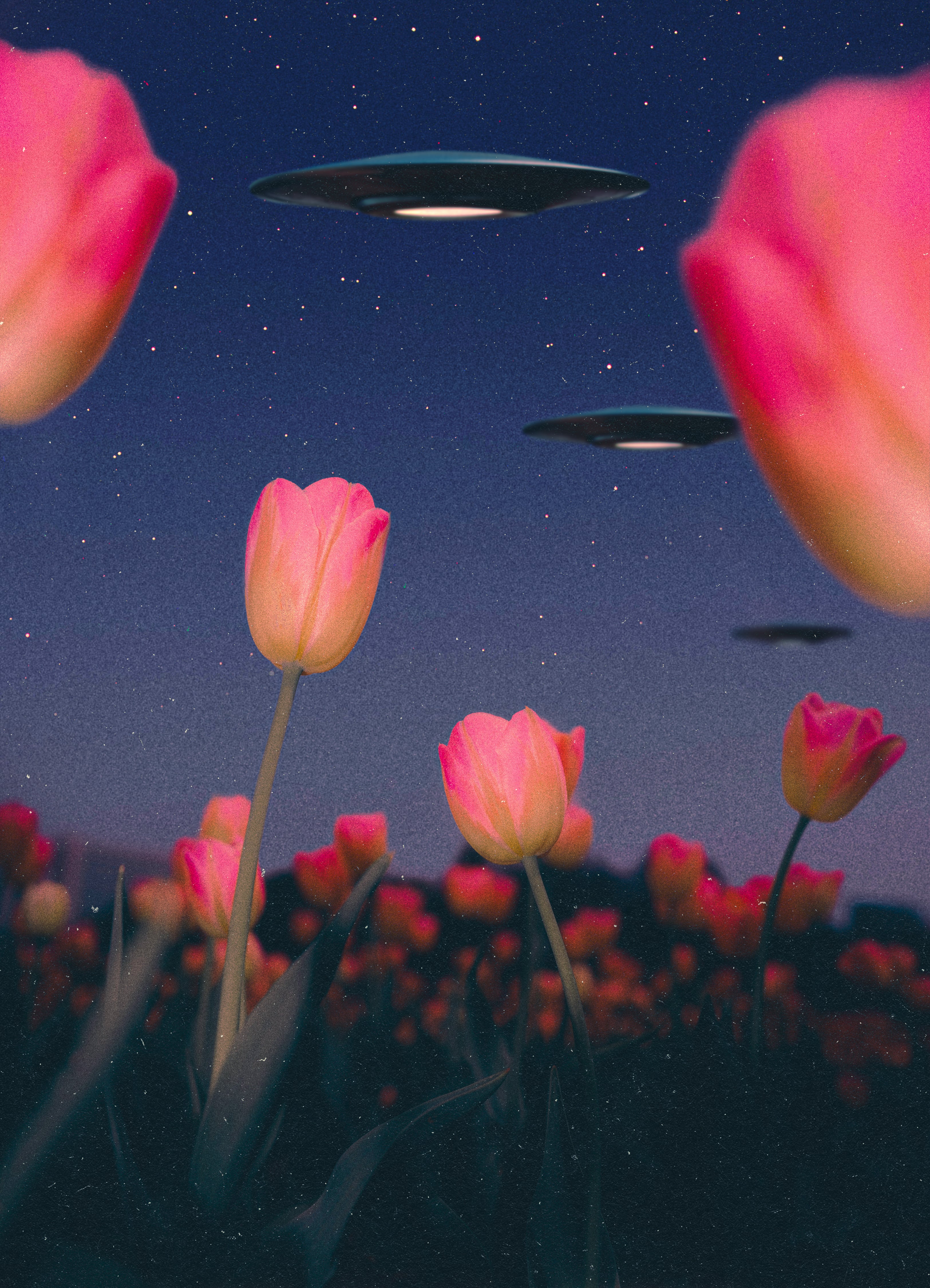 Alien Abduction from a Bug's Perspective, 2025 Print