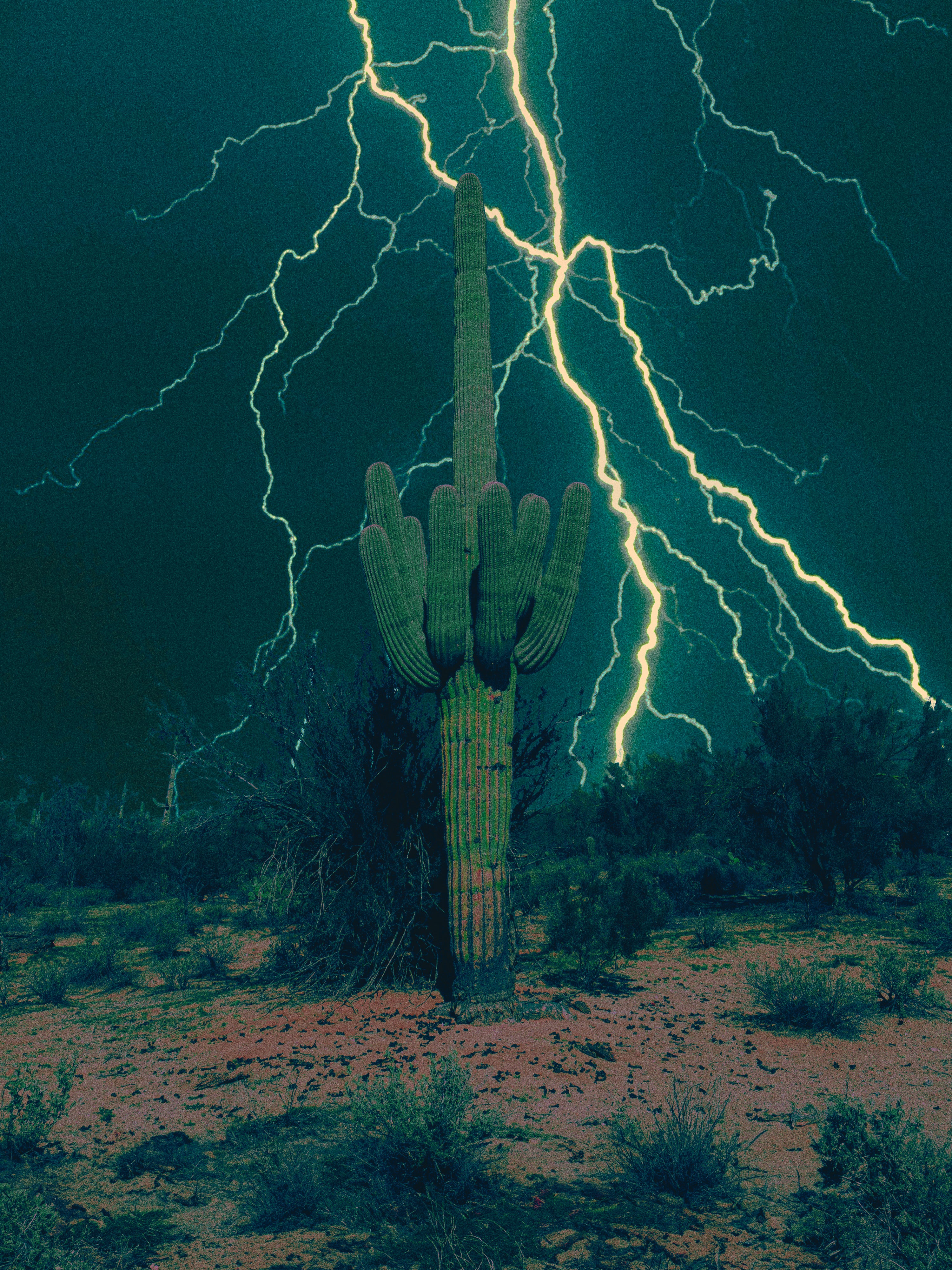 Arizona Highways, 2026 Print