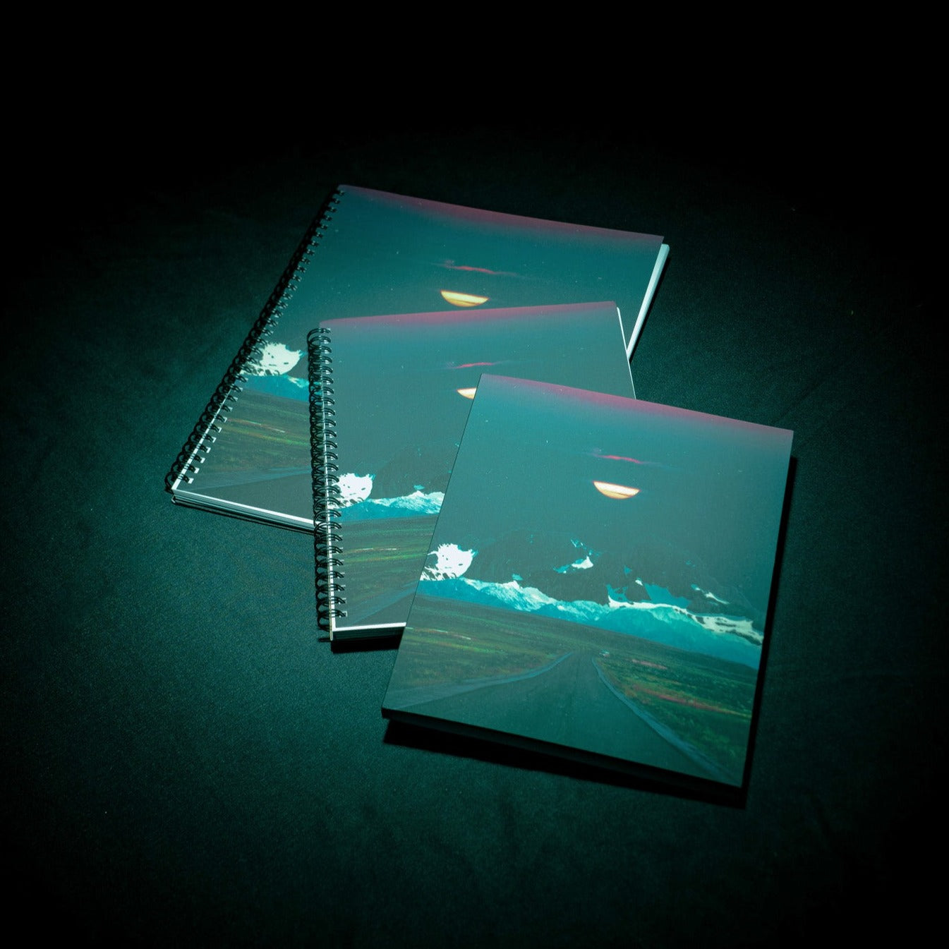 Enmeshed, 2023 Notebook