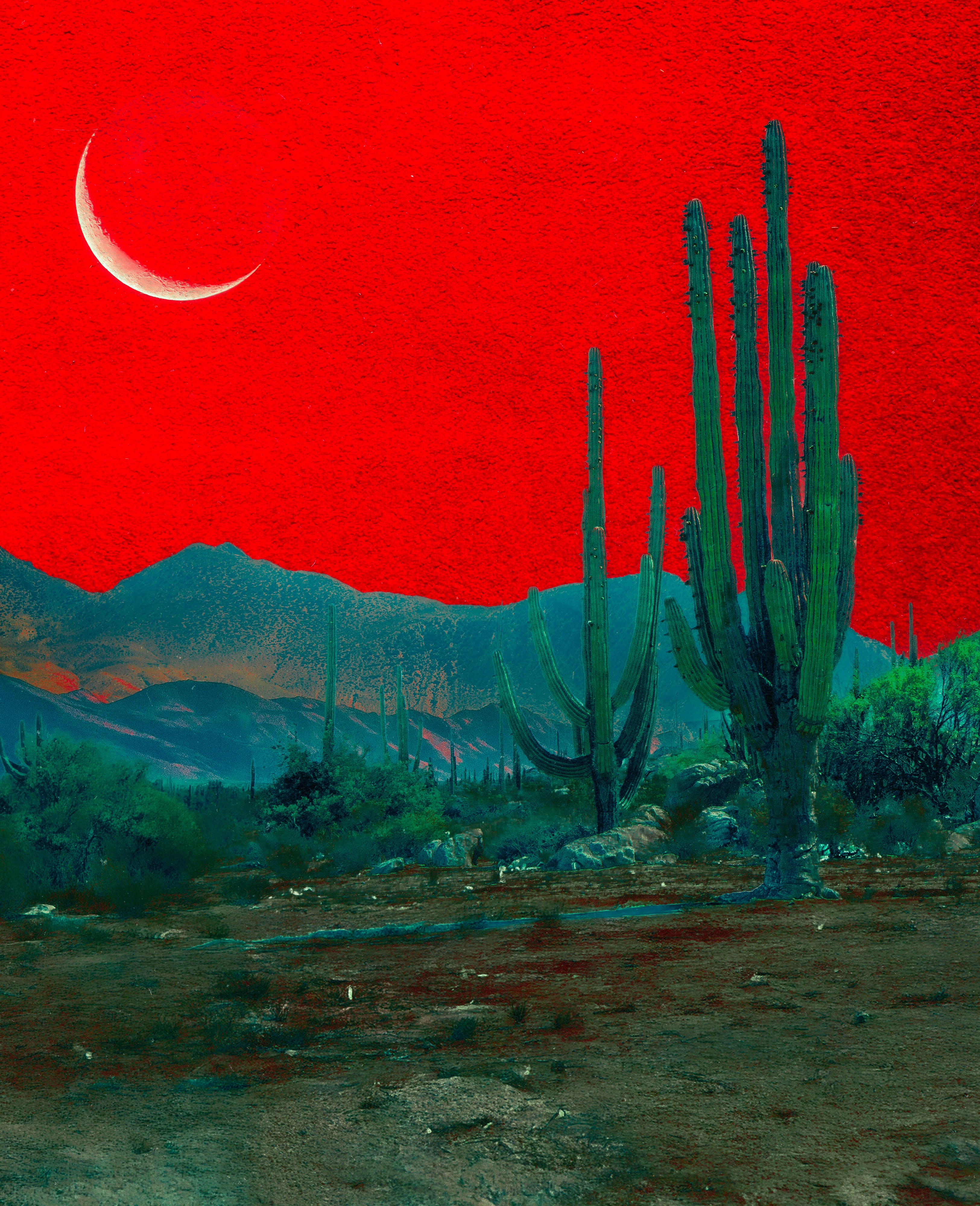 Red Desert, 2025 Print