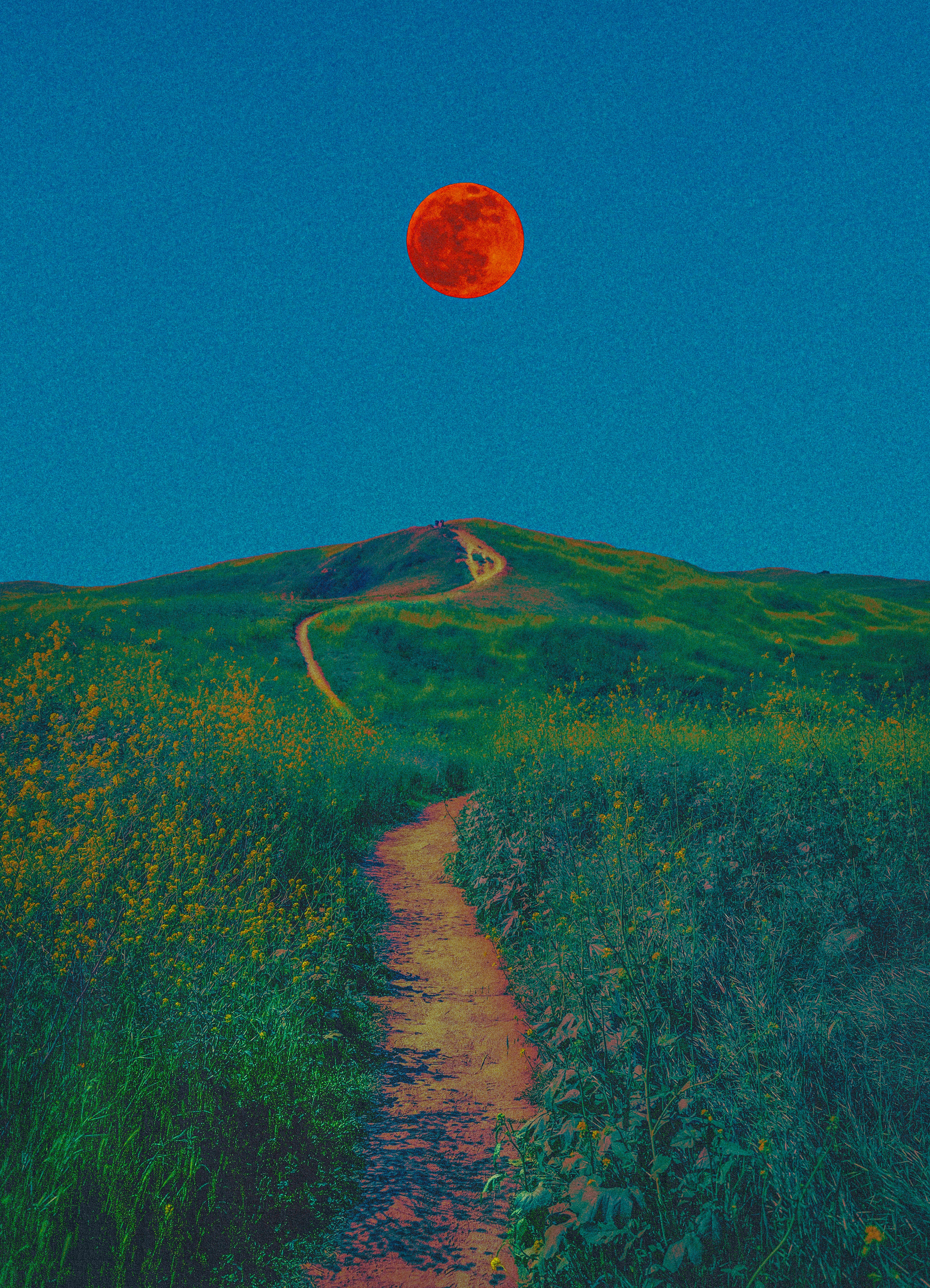 Chino Hills, 2026 Print
