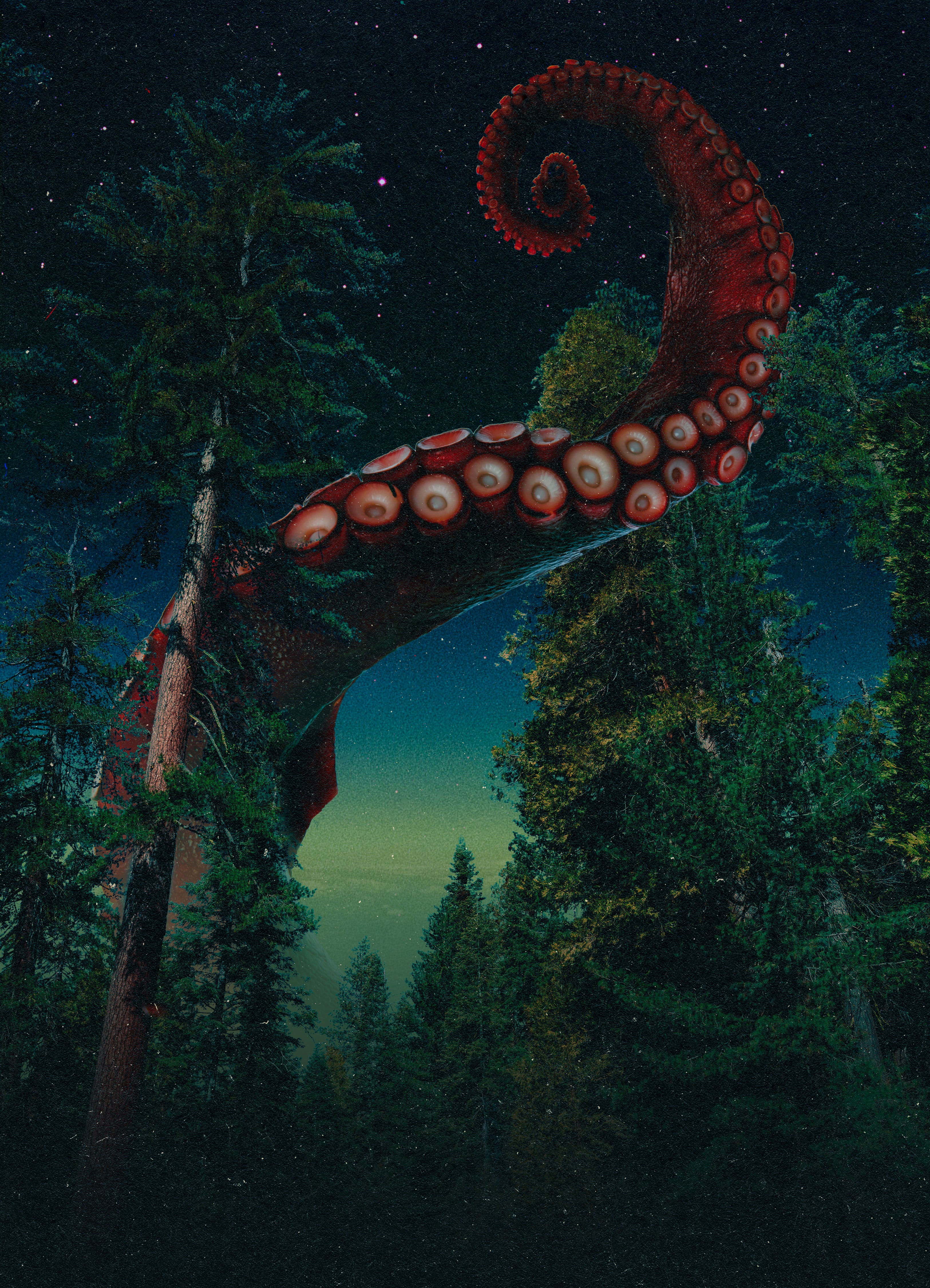 Dangerous Hike, 2025 Print