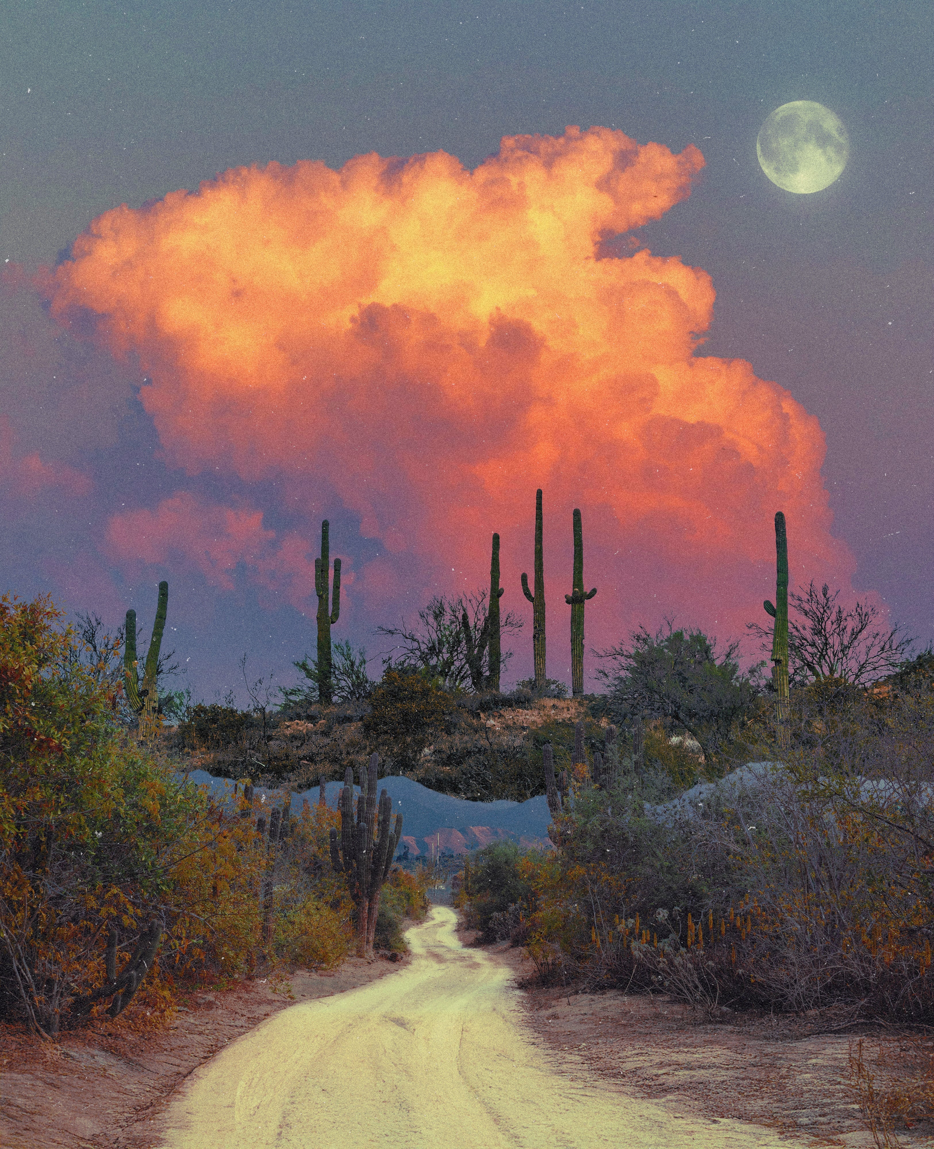 Desert Walk, 2025 Print