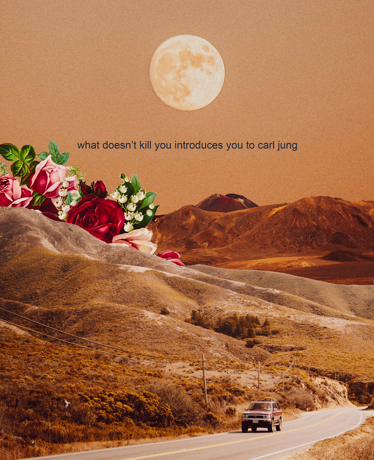 what doesn't kill you introduces you to carl jung Print