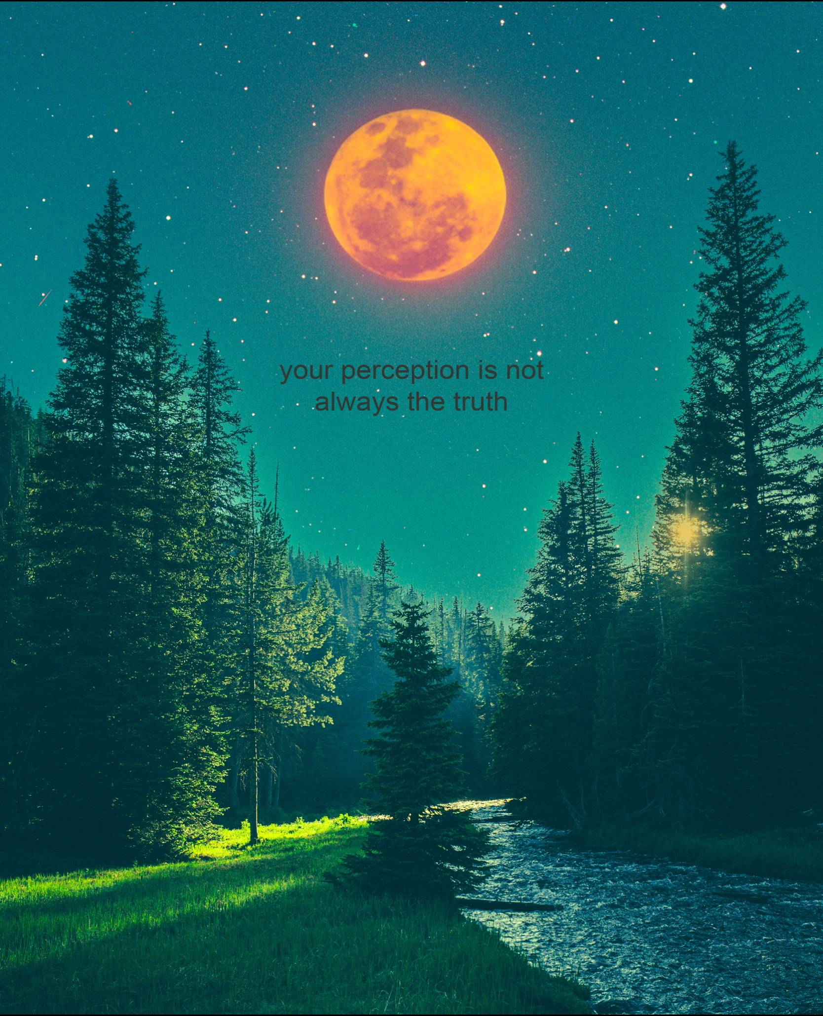 your perception is not always the truth Print