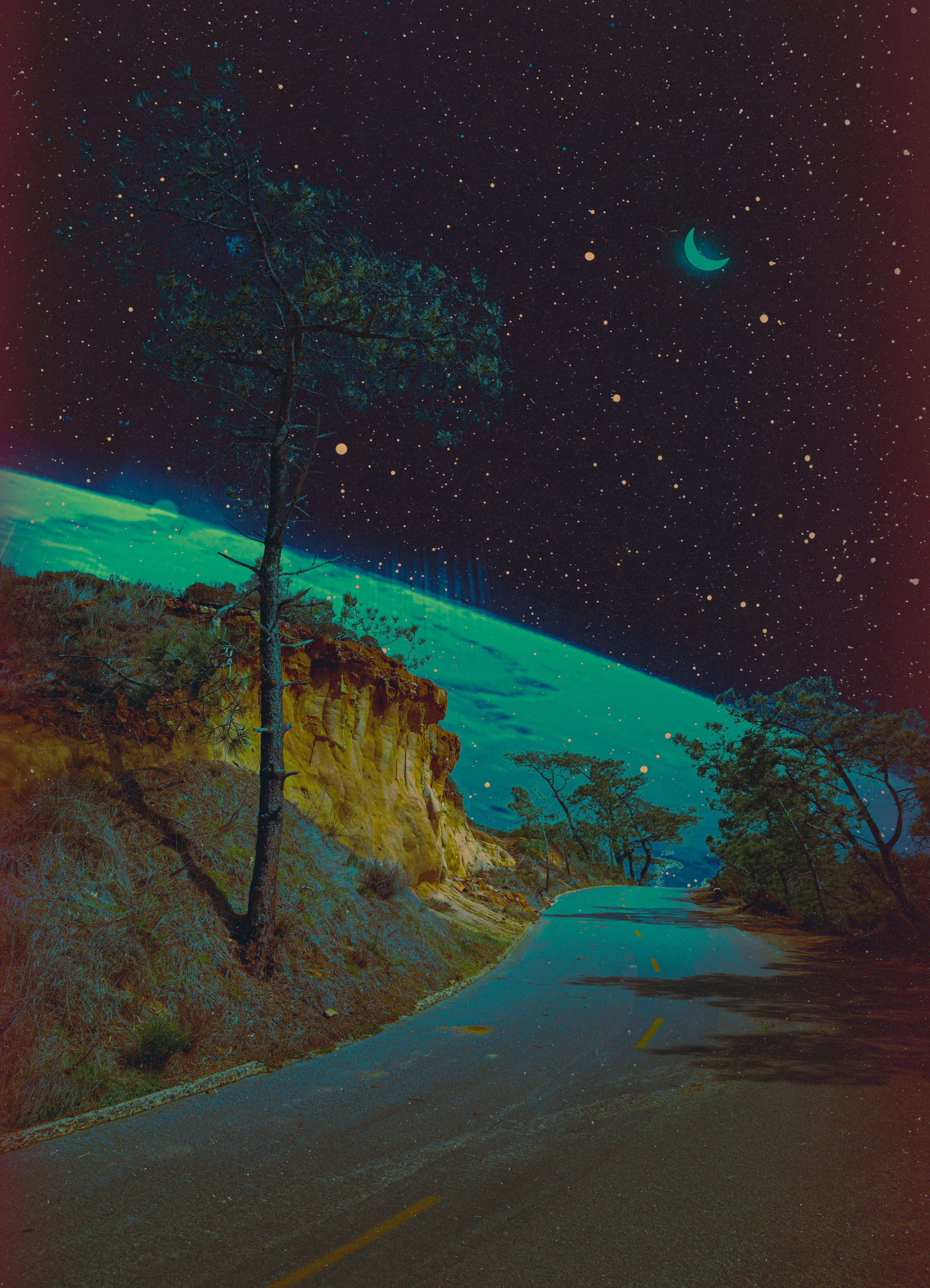 Instinctual Belonging, 2025 Print