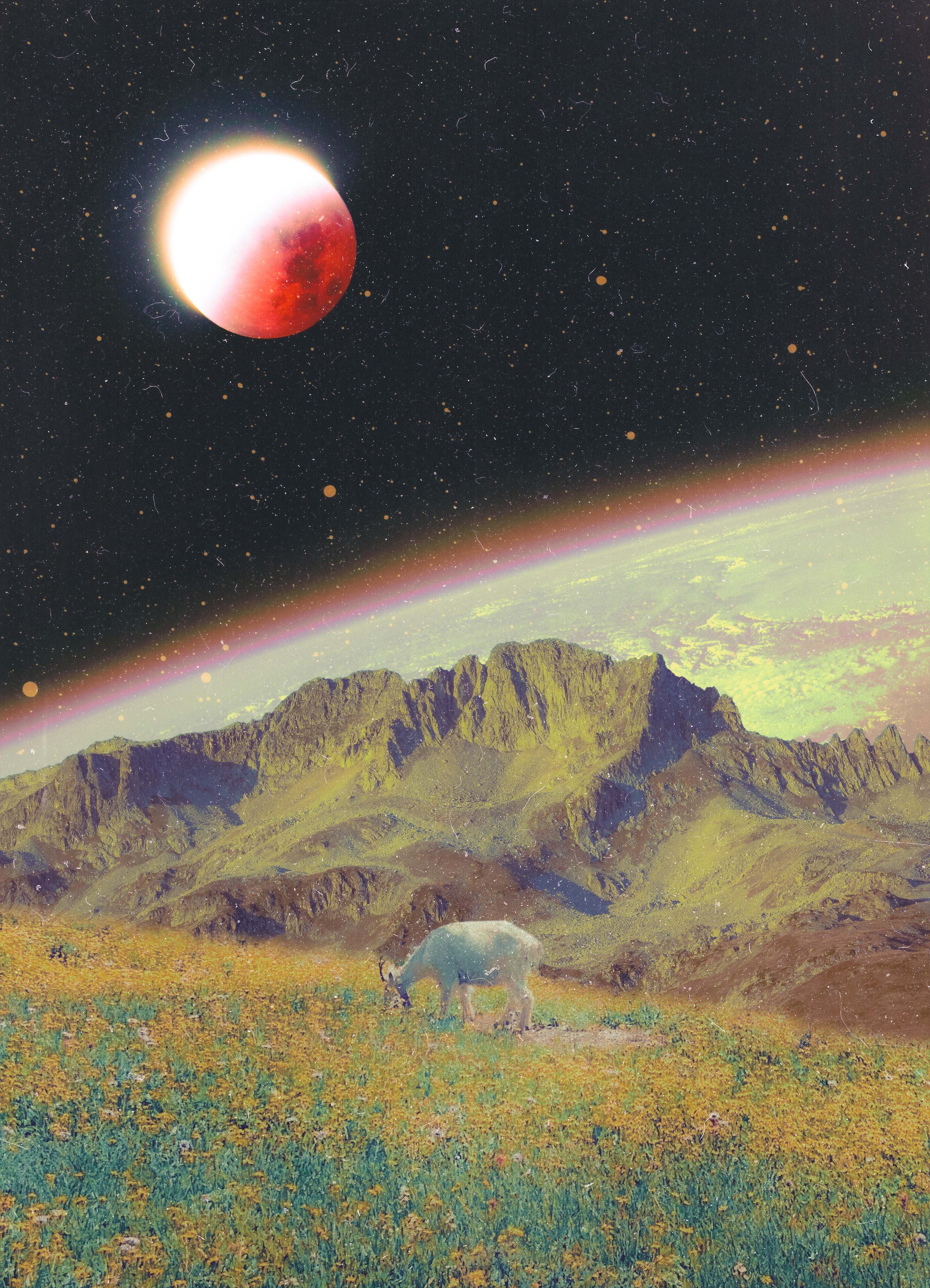 Iridescent Dreamworld, 2026 Print