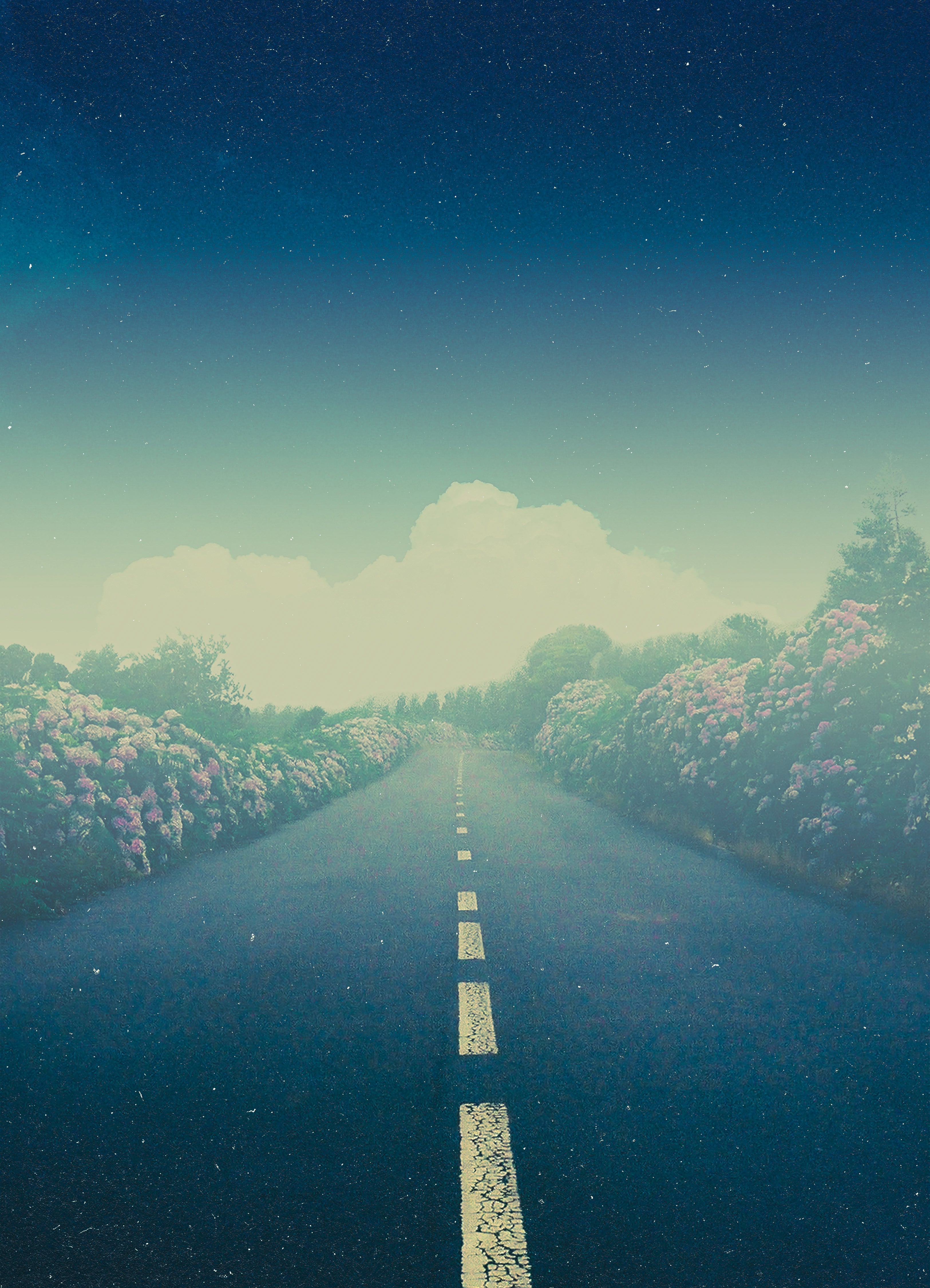 Morning Walk, 2025 Print