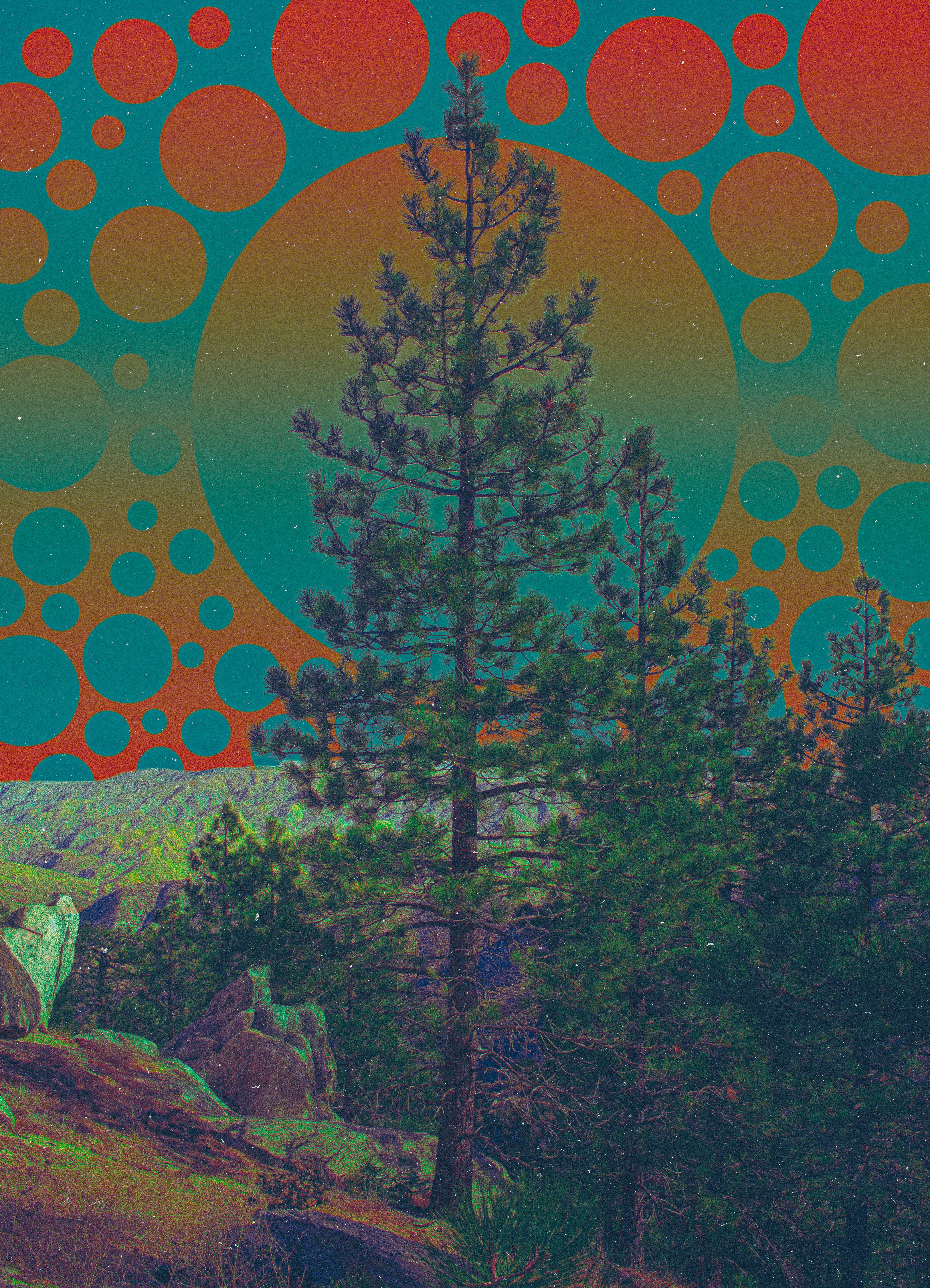 Pacifico Bubbles, 2026 Print