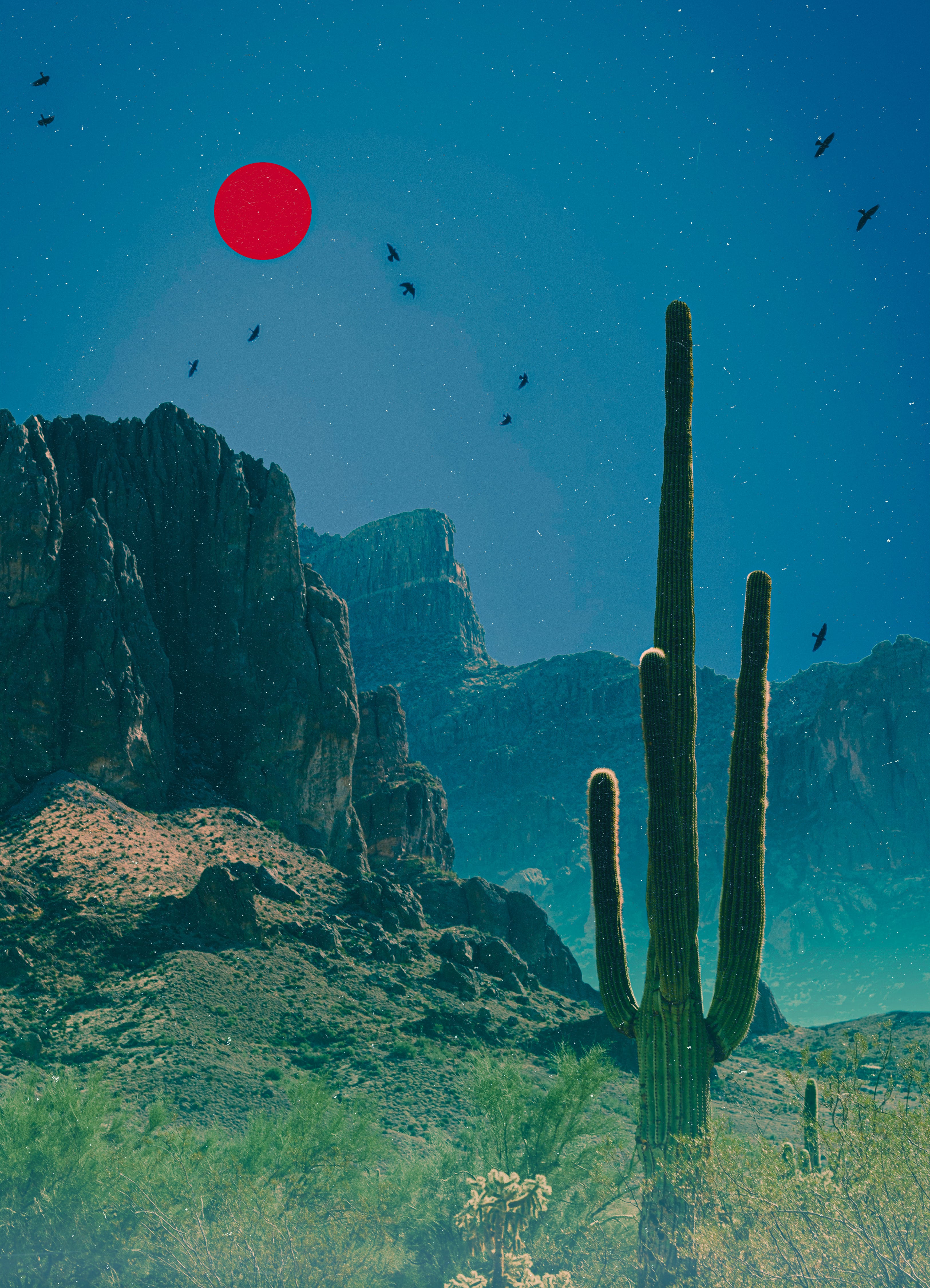 Red Dot, 2025 Print