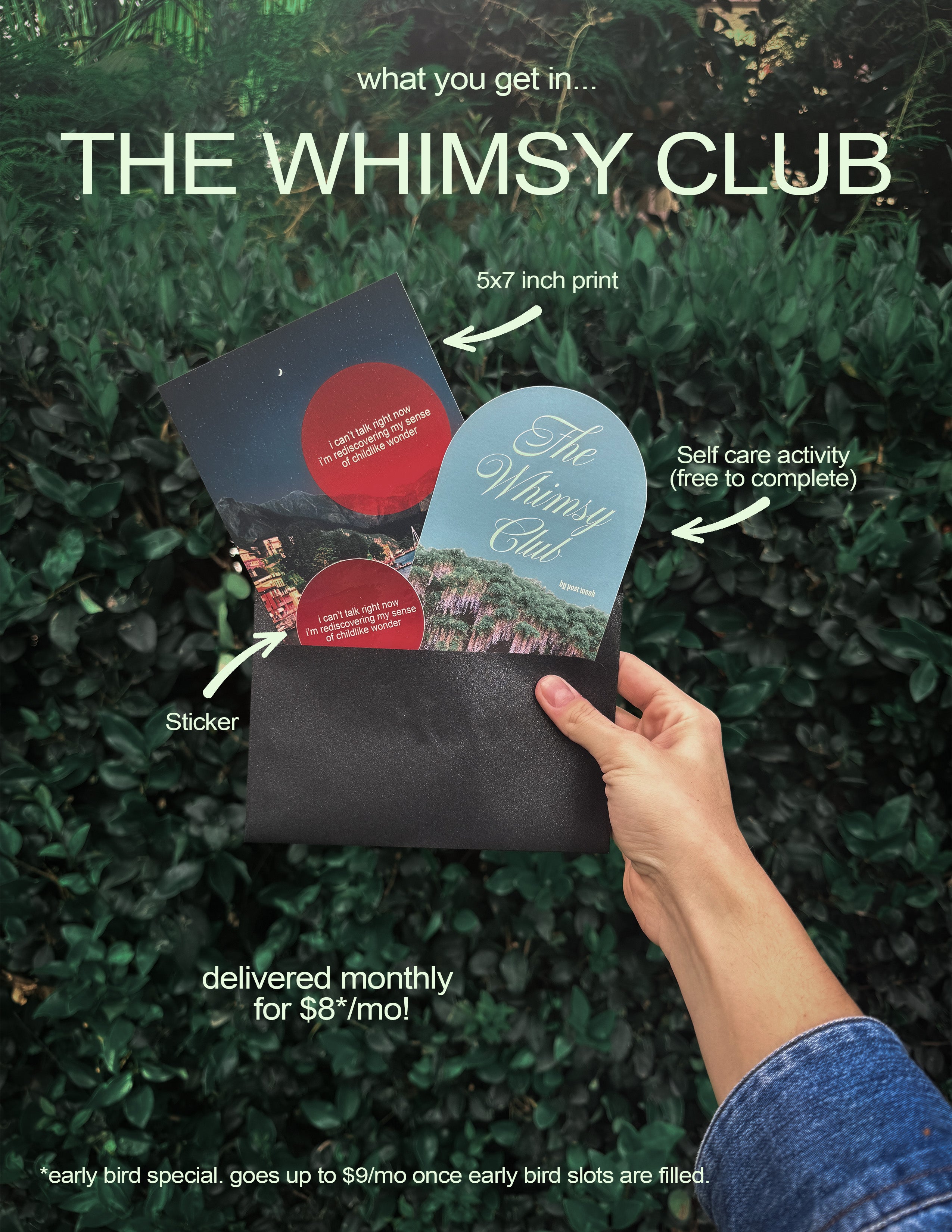 THE WHIMSY CLUB