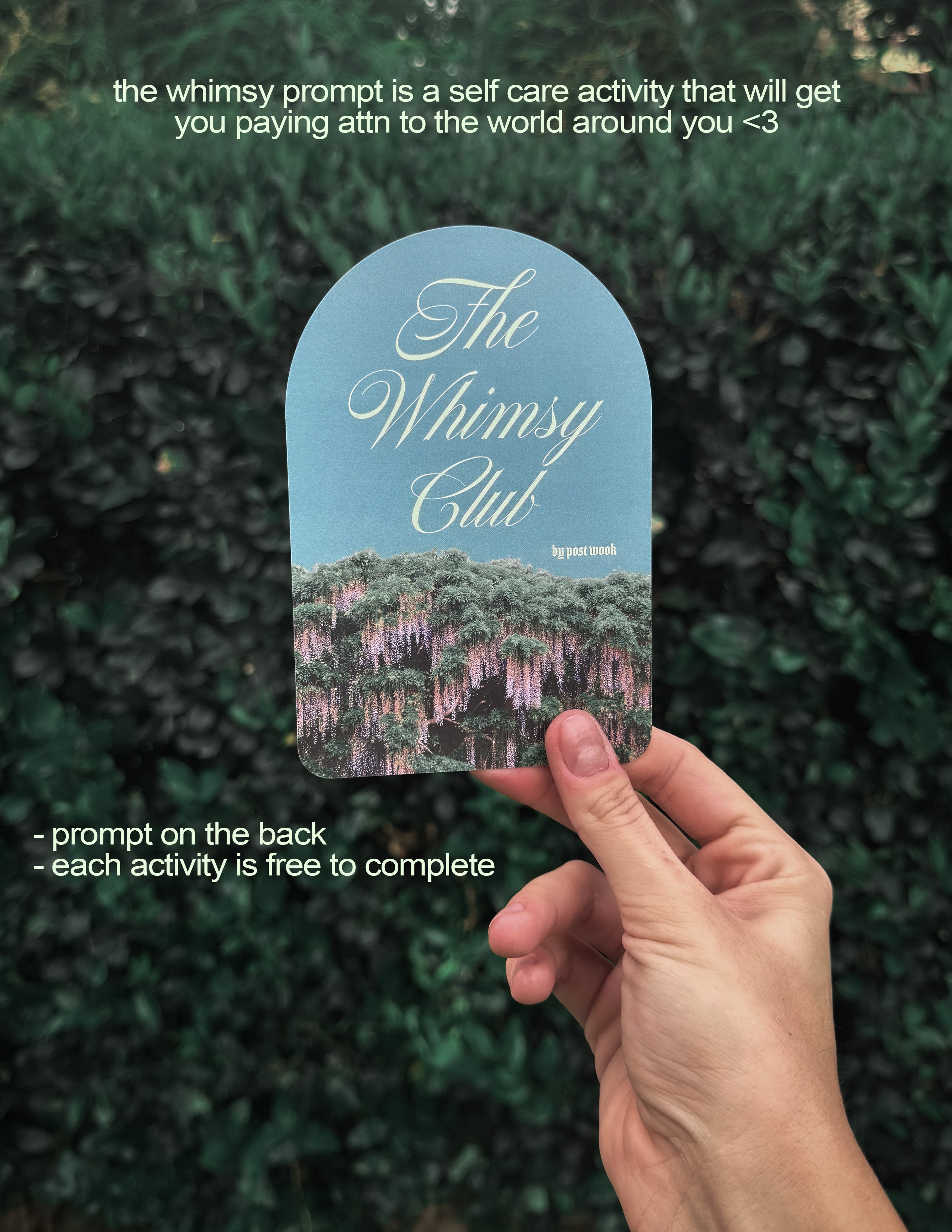 THE WHIMSY CLUB