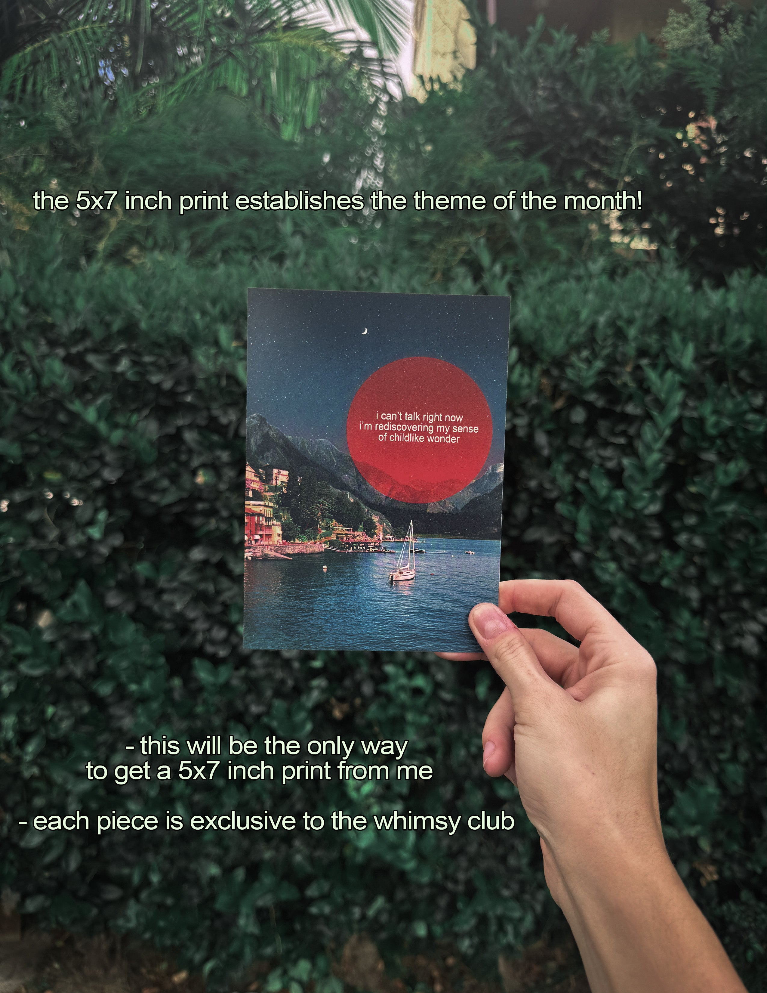 THE WHIMSY CLUB