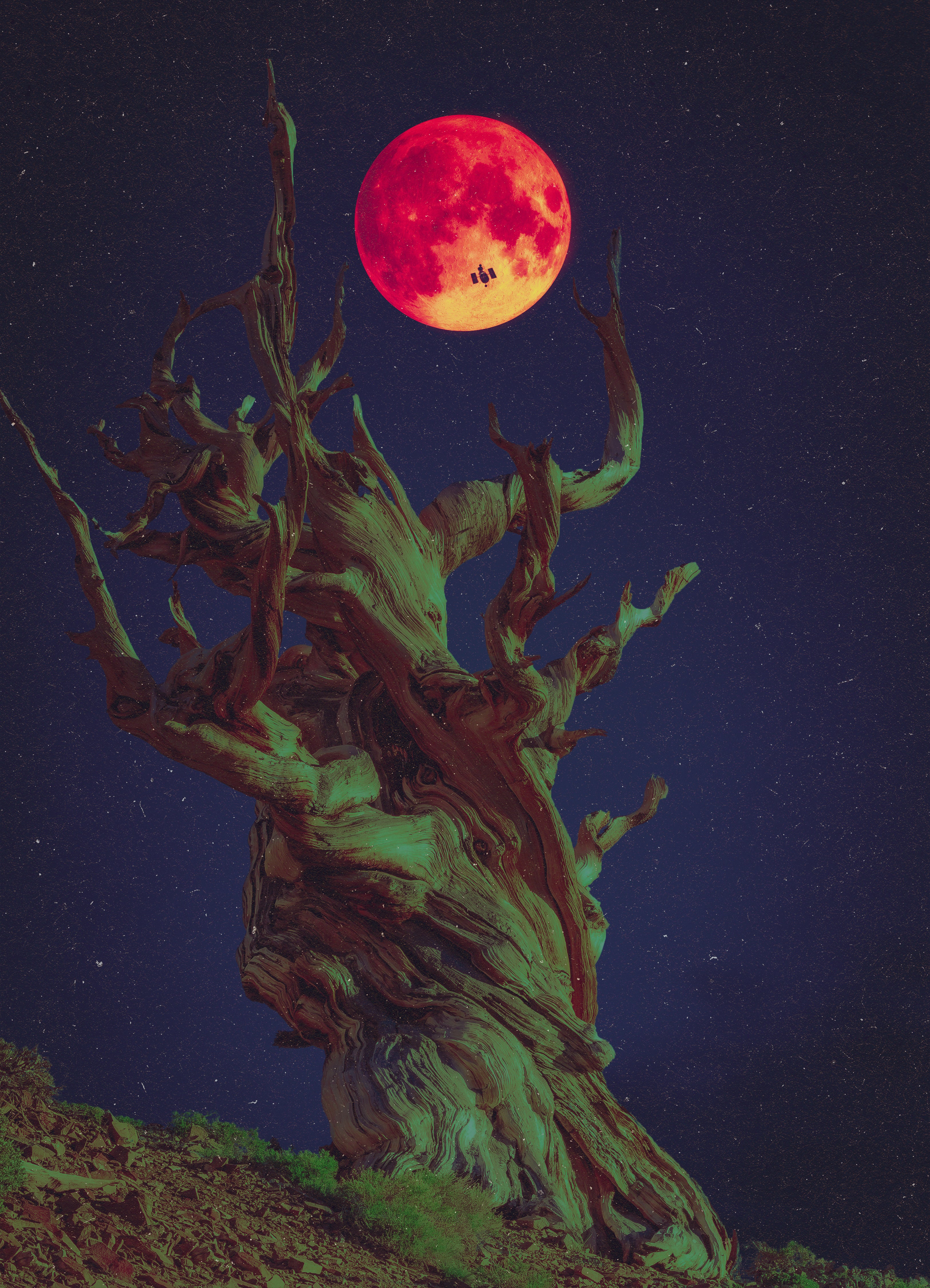 The Tree of Many Colors, 2026 Print