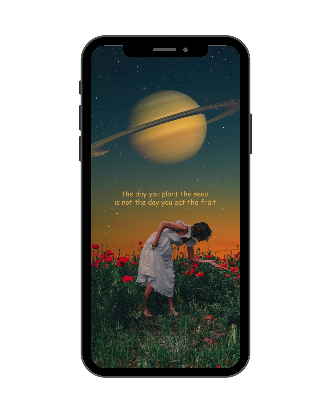 ‘the day you plant the seed is not the day you bear the fruit’ Phone Wallpaper