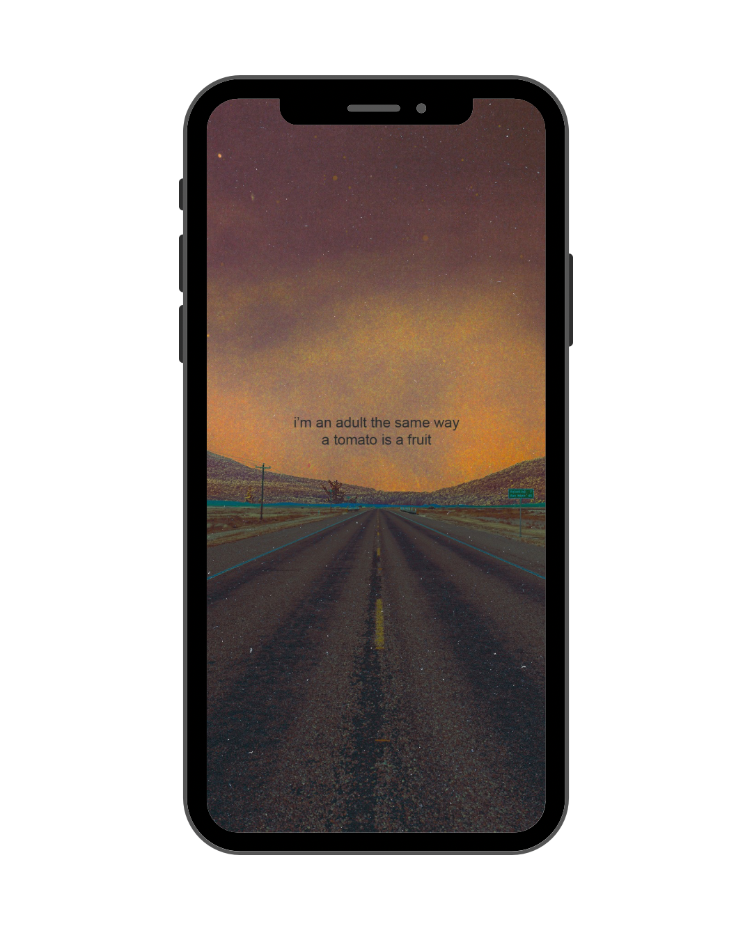 ‘I’m an adult in the same way a tomato is a fruit’ Phone Wallpaper