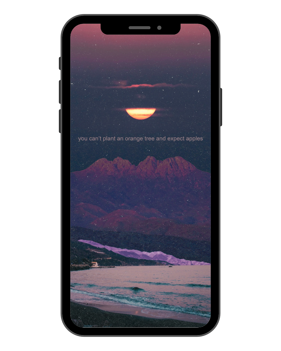 ‘you can’t plant an orange tree and expect apples’ Phone Wallpaper