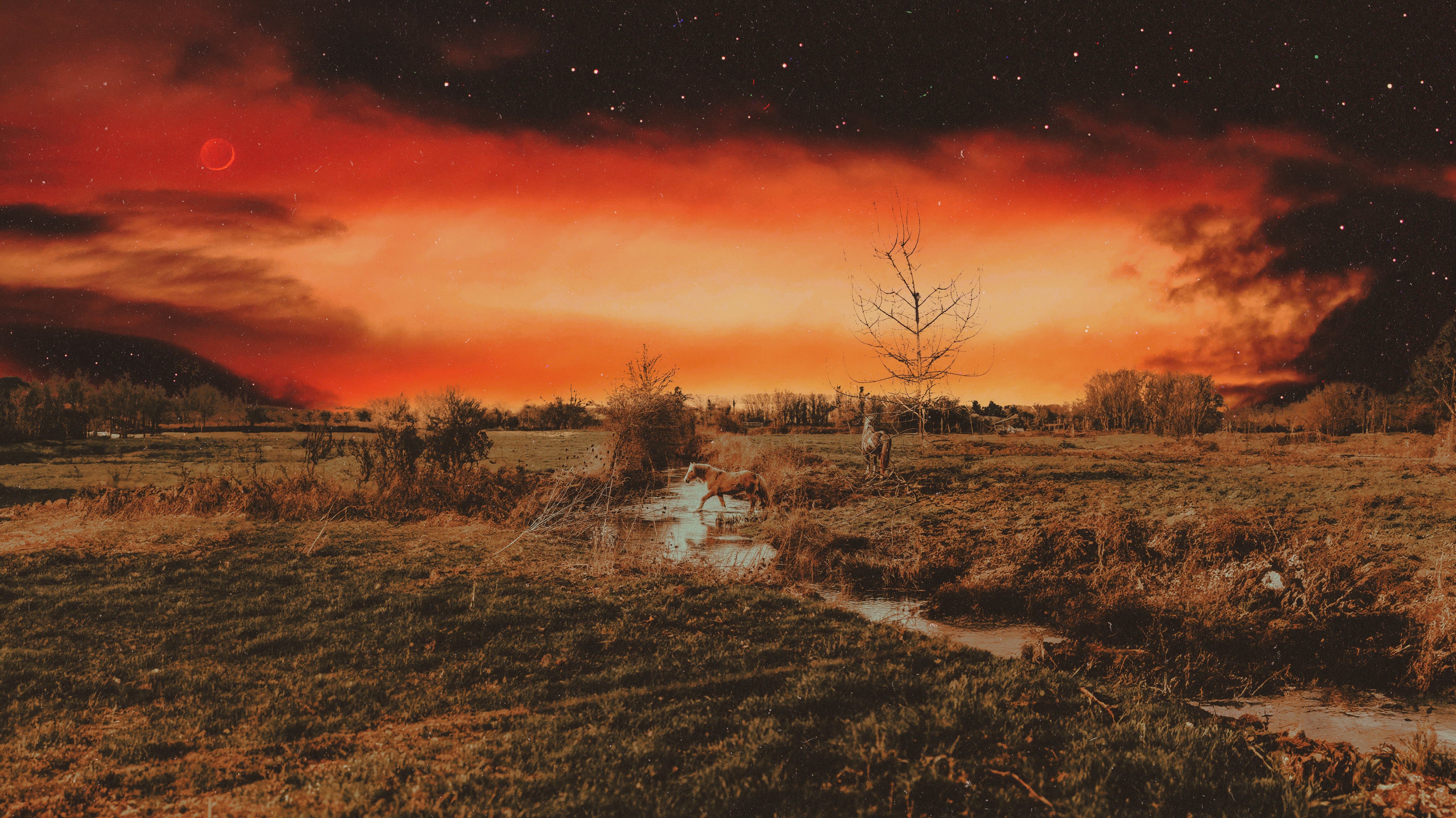 Wild Horses, 2025 Print